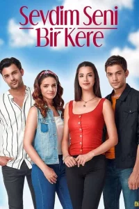Я полюбил тебя однажды 1 сезон турецкий сериал