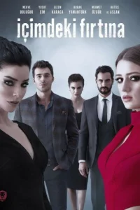 Буря внутри меня 1 сезон турецкий сериал