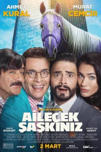 Безумная семейка турецкий сериал