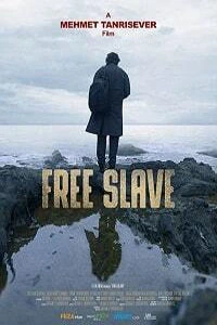Свободный раб турецкий сериал